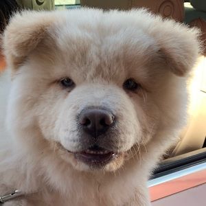 Meet your Posher, Morgan